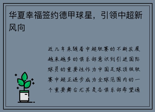 华夏幸福签约德甲球星，引领中超新风向